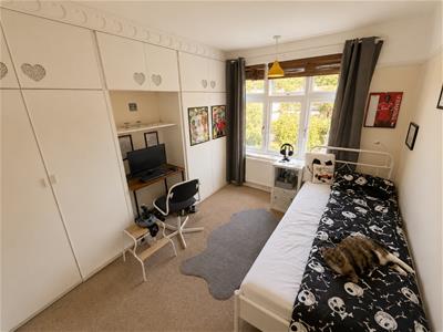 Picture 8